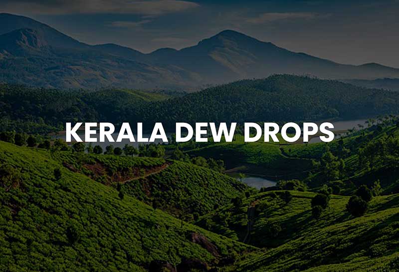 Kerala Dew Drops